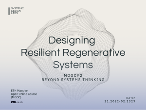 DRRS MOOC 2: Beyond Systems Thinking